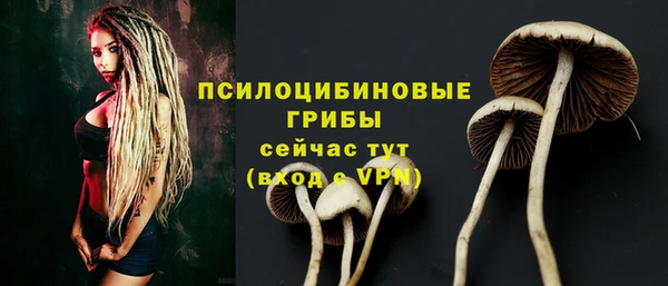 экстази Белокуриха