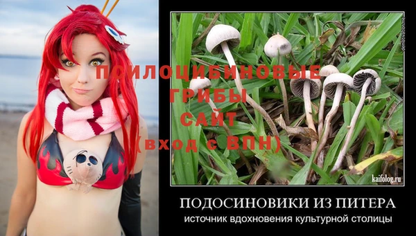 ALPHA PVP Беломорск