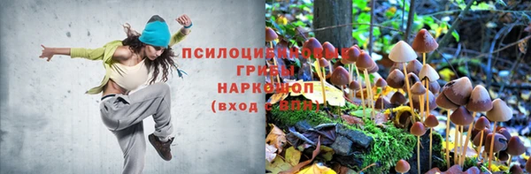 экстази Белокуриха