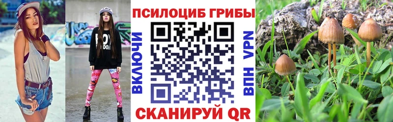 Галлюциногенные грибы MAGIC MUSHROOMS  Городовиковск 
